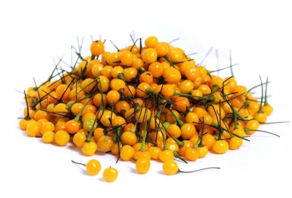 Aji-Charapita-peppers-600x407